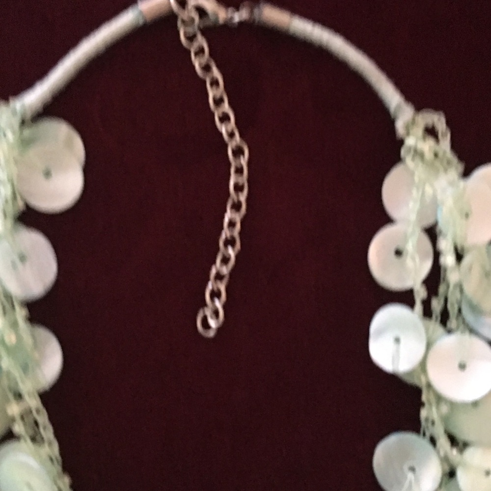 SEASHELL NECKLACE🔽❤️🔽 - Picture 4 of 7